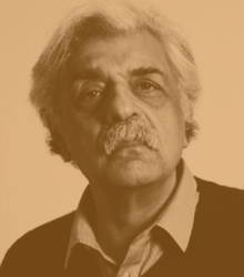 طارق علي