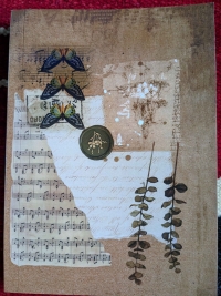 دفتر الفراشة 