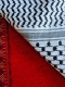 morepic-1