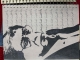 morepic-3