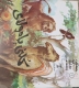 morepic-6