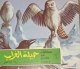 morepic-8
